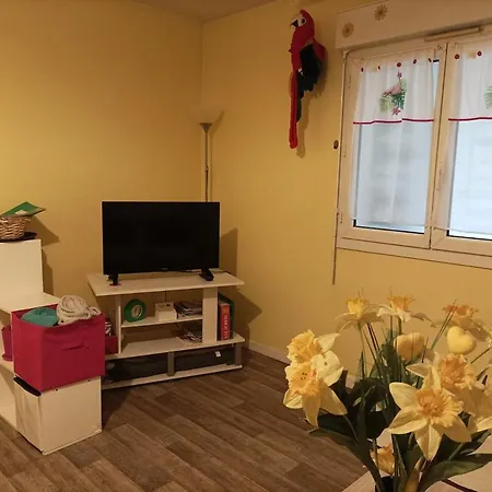 Pres Gare T2 42m2 Avec Jardinet-terrasse 10m2 Apartamento *