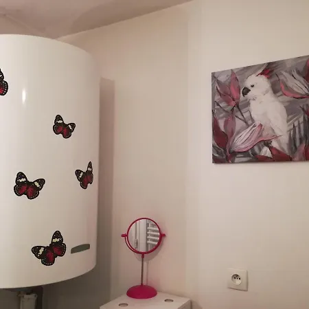 Appartement Près Gare T2 42m2 Avec Jardinet-terrasse 10m2